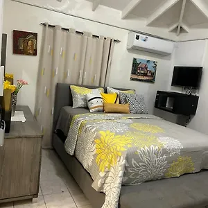 Beautiful Vacation Holiday home Ocho Rios